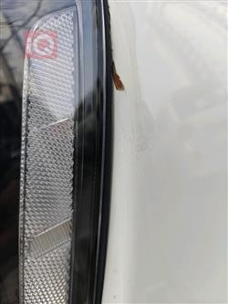 کیا تێلوراید